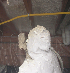 Oakville ON crawl space insulation
